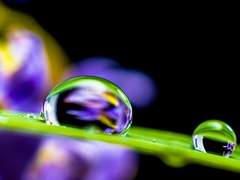 10월 하늘에 5월