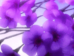 𝓑𝓮𝓷𝓲𝓴𝓪 𝓧 ???