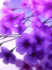 1차 캐릭터 및 패러디 인물 프로필 소개서