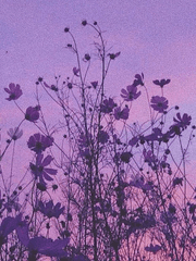 단편 소설 모음