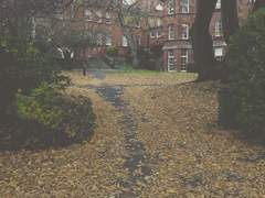 구월은 누군가를 닮았다/이도은