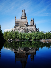 Harry Potter(백업용)