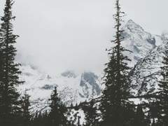 [소설 C타입] 자캐 커플, 동양 선협풍 배경 (13,566자)