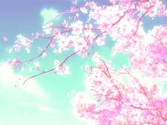 [정국 생일 축전] 9월 1일, 그들의 바다가 가장 아름다운 날