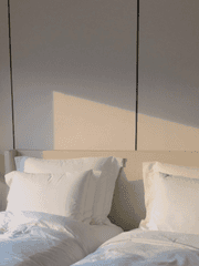 나같은 사람이 또 있을까?