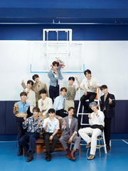 |세븐틴| 상황문답