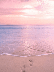 불가사의:不思議