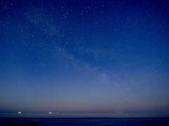 스즈키 세이하 / XX / 17