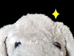 68. 탈모 콤플렉스