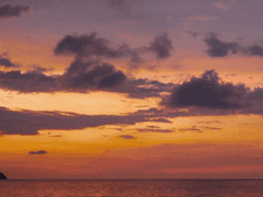 [원소조조] 아일랜드-4