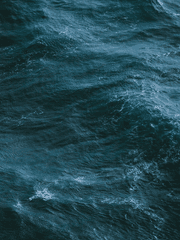 내가 하고싶은 말은..