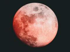 [날조 해석 타입] 서구 어반 판타지 아카데미 소설 | 근미래 SF풍 소설 | 팬픽션넷 RPS 연재 컨셉의 어반 판타지 AU