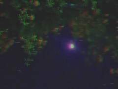 네코/18/남성/#ffd400