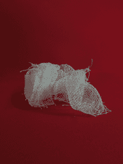 내가 소개하는 것