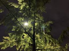 매일 나를 찾는 여행을 떠난다