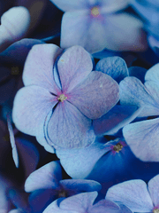 타마소우 연성 스터디