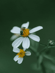 이것저것 잡다한 글