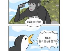 인류의 비밀
