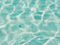 솜시아 :: XY :: 17