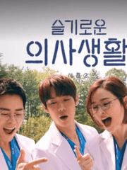 슬기로운 의사생활 - 2차 창작