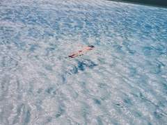 정말이지 이런 여름방학은 예상하지 못했는데