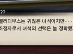 엘리디부스 해석 날조