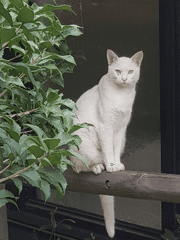 지독하게 짝사랑하는 이야기