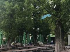 사실은 하나도 괜찮지 않으면서도