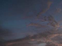 가깝지 않으면 보이지 않는 나의 푸름