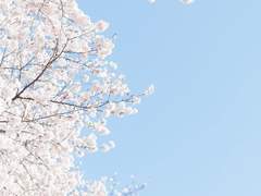 허 예린 학생기록부