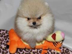 드림 일짱 이여주 모먼트 EP.1