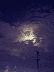 함락된 낙원, 침참하는 흑백의 이상향