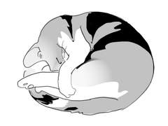 마다쿠로 짧은 만화 2