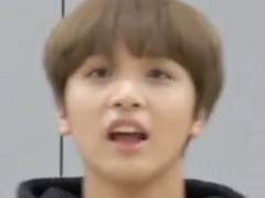 해차니 저화질을 모아모아 🐻