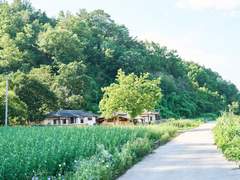 시골 좋아하세요?