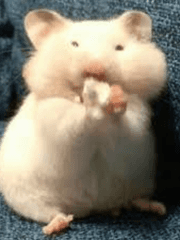 함박눈 내리는 날, 가로등 아래