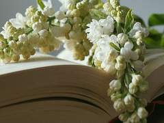 로쿠토리 썰백업