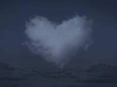 빈센트, 아직 너를 위해 준비된 꽃이 많아.