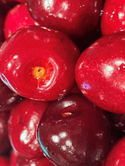 사랑의 역사 <a.k.a 내가 사랑했던 모든 남자들>