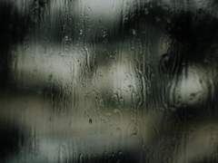 산 자의 시간은 어김없이 흘러가고.