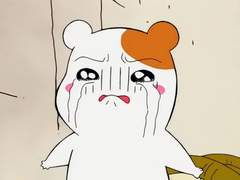 2021/09/03 공지&안내