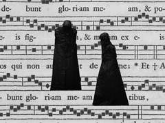 들리지 않는 목소리, 보이지 않는 길, 잡하지 않는 손