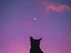 쉬어가기로 했습니다 35