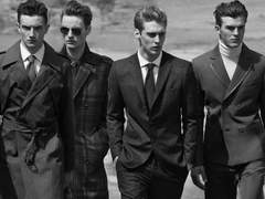 Veronica Maximus Western