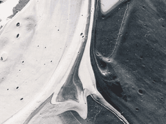 대표님이 어려졌다<3