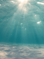 [솔부] 나의 사랑스런 인어