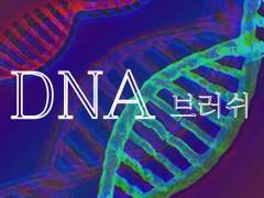 #3 {무료} DNA 브러쉬