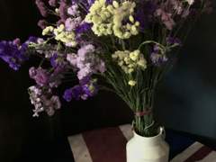 울지 않아도 되는 날이 어느 날인지 잘 모르겠습니다