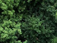 네 세상의 전부가 어둑하여 내 세상이 일부로 남는데도