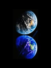 패럴렐 셰어 하우스